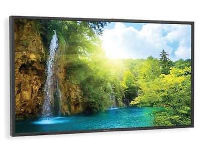 NEC P401 LCD HDTV
