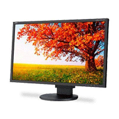 NEC 22" LED-backlit Eco-Friendly Widescreen Desktop Monitor EA224WMI-BK