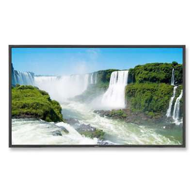 NEC P401 LCD HDTV