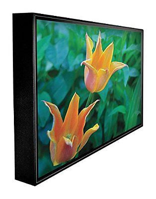 Peerless-AV CL55PLC68OB 55" LCD Outdoor TV | CL-55PLC68-OB (No Speakers)